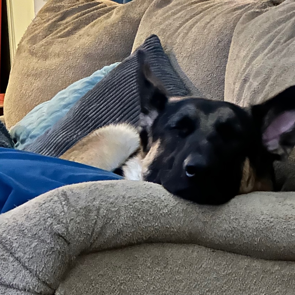 Meet your Posher, Michele